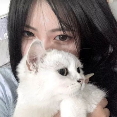 真龙霸业百度版下载